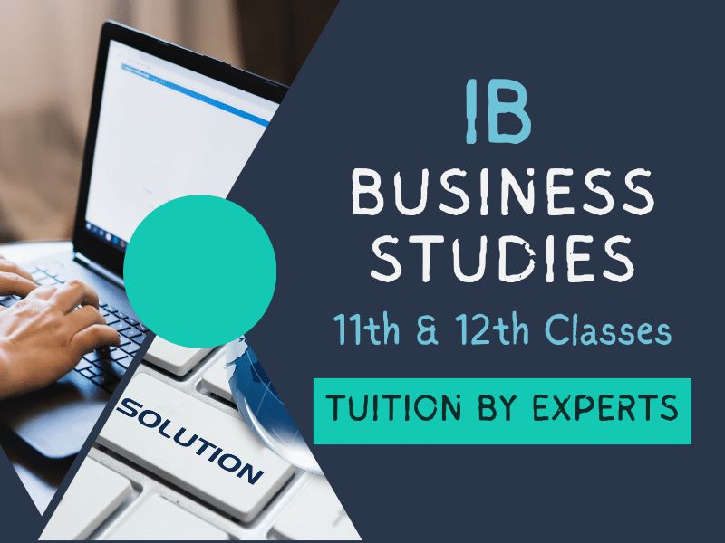 IB Business Studies Tuition