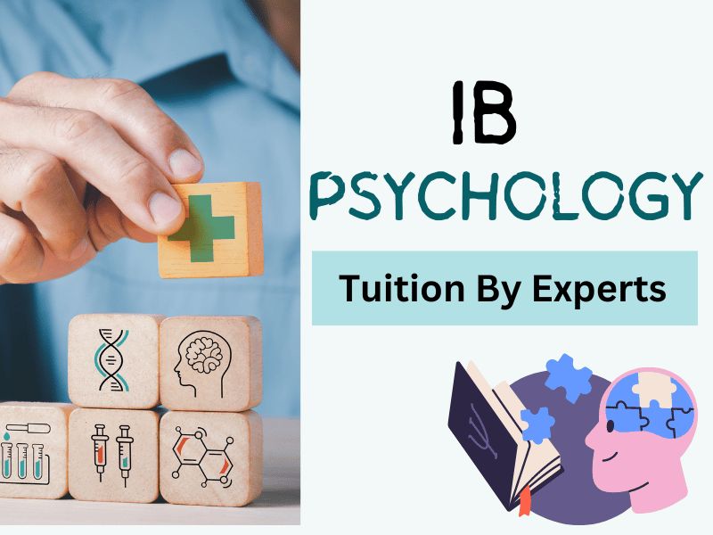 IB Psychology Tuition